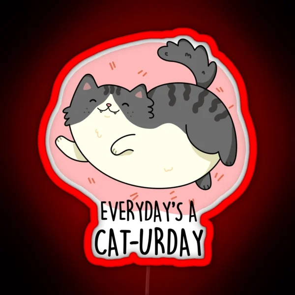 Everyday S A Cat Urday Fat Kitty Funny Cat RGB Neon Sign