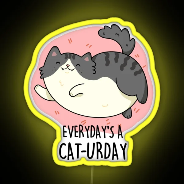 Everyday S A Cat Urday Fat Kitty Funny Cat RGB Neon Sign