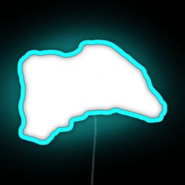 F 1 Led RGB Neon Sign