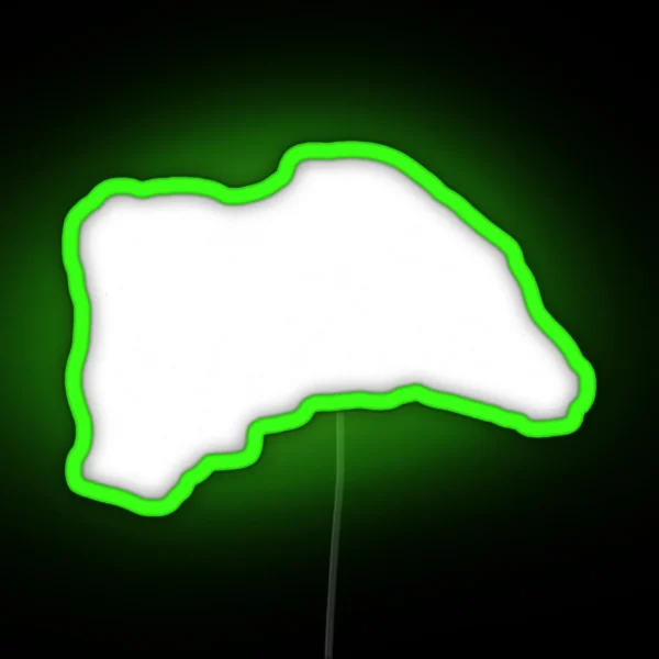 F 1 Led RGB Neon Sign