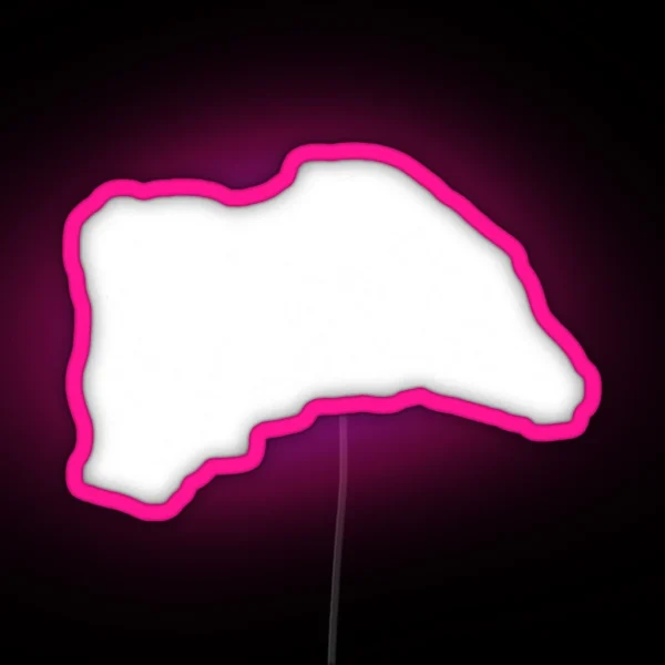 F 1 Led RGB Neon Sign