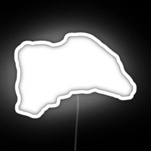 F 1 Led RGB Neon Sign