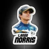 F1 Lando Norris 4 RGB Neon Sign - Image 4