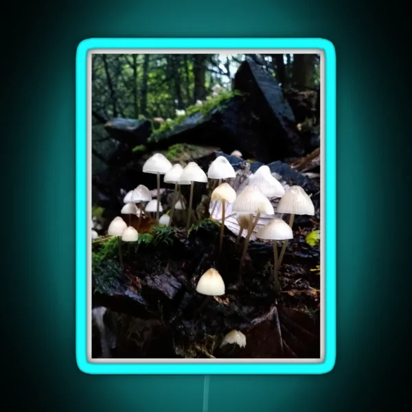 Fairy Toadstools RGB Neon Sign