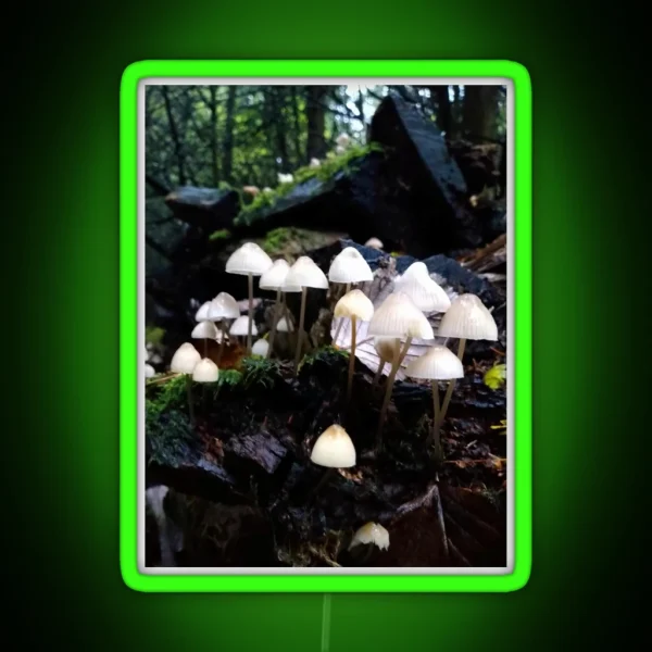 Fairy Toadstools RGB Neon Sign