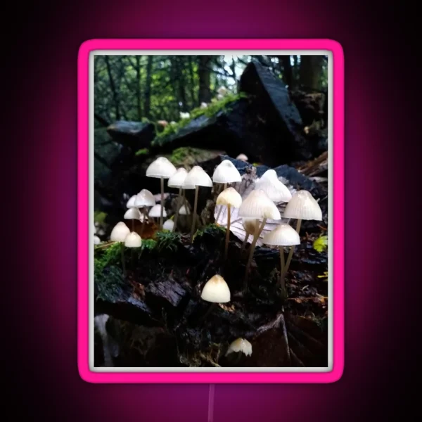 Fairy Toadstools RGB Neon Sign