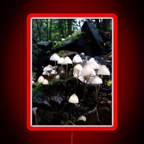 Fairy Toadstools RGB Neon Sign