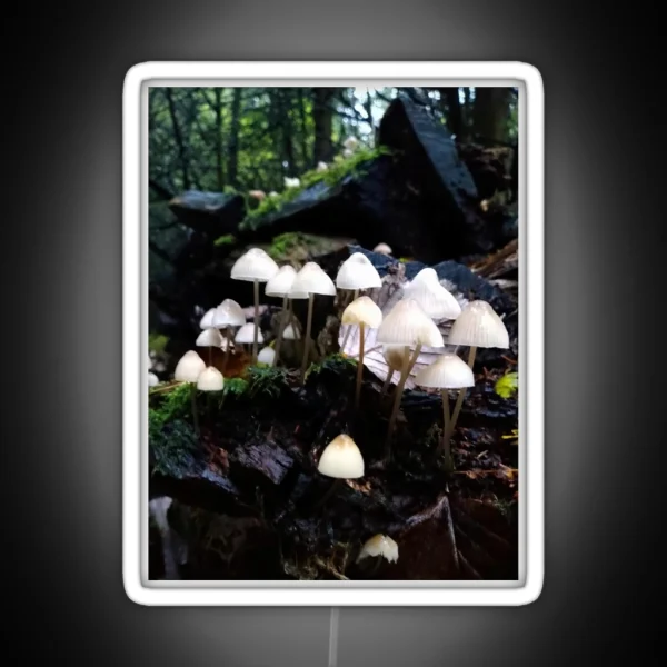 Fairy Toadstools RGB Neon Sign