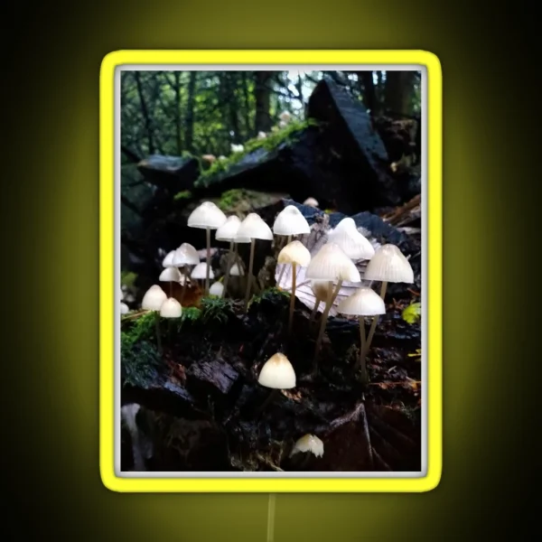 Fairy Toadstools RGB Neon Sign