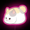 Fat Cat RGB Neon Sign - Image 6
