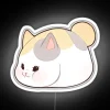 Fat Cat RGB Neon Sign