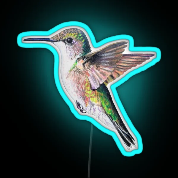 Female Ruby Throated Hummingbird Drawing No Background RGB Neon Sign