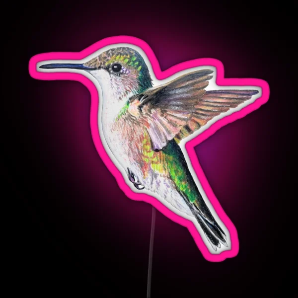 Female Ruby Throated Hummingbird Drawing No Background RGB Neon Sign