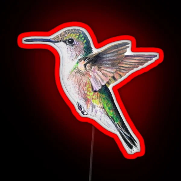 Female Ruby Throated Hummingbird Drawing No Background RGB Neon Sign