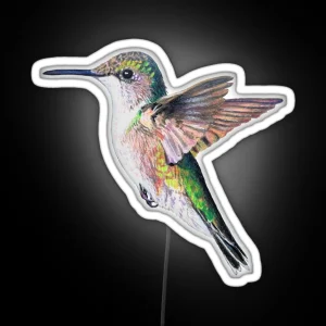 Female Ruby Throated Hummingbird Drawing No Background RGB Neon Sign