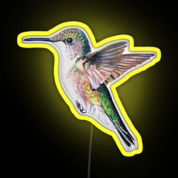 Female Ruby Throated Hummingbird Drawing No Background RGB Neon Sign