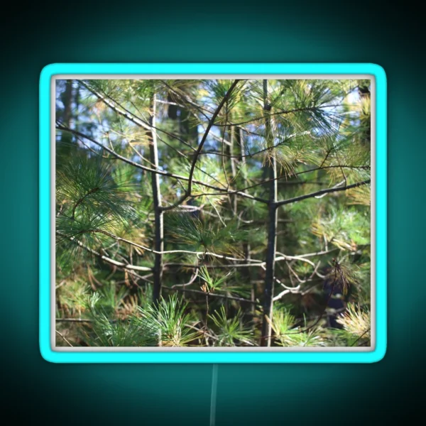 Fir Trees RGB Neon Sign