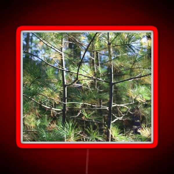 Fir Trees RGB Neon Sign
