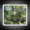 Fir Trees RGB Neon Sign - Image 5