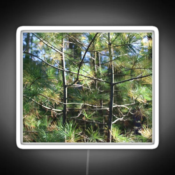 Fir Trees RGB Neon Sign
