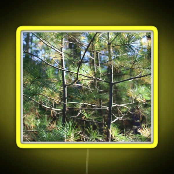 Fir Trees RGB Neon Sign