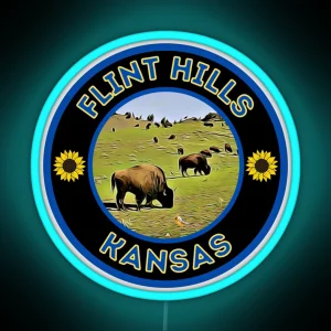 Flint Hills Kansas Bison Blue Gold RGB Neon Sign