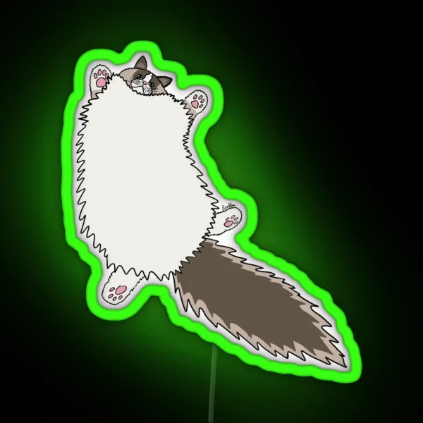 Fluffy Ragdoll Cat Stretch Glacial Lake Background RGB Neon Sign