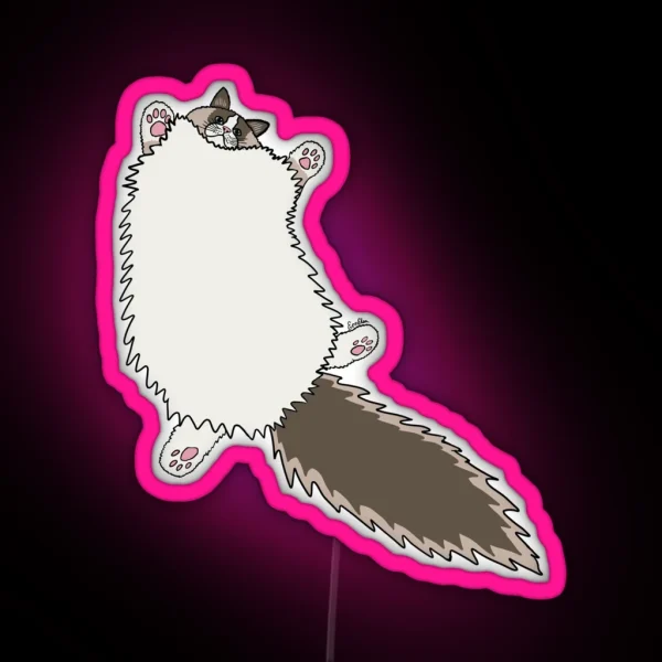 Fluffy Ragdoll Cat Stretch Glacial Lake Background RGB Neon Sign
