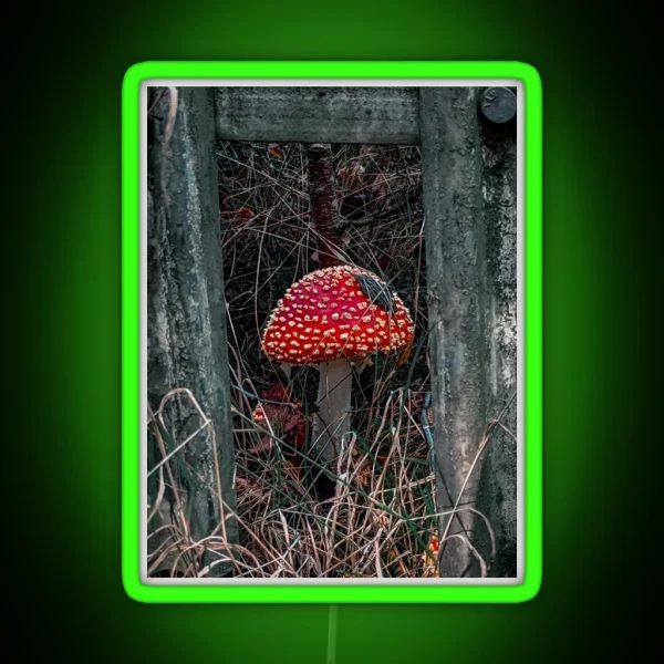 Fly Agaric Framed RGB Neon Sign