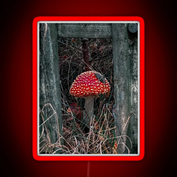 Fly Agaric Framed RGB Neon Sign