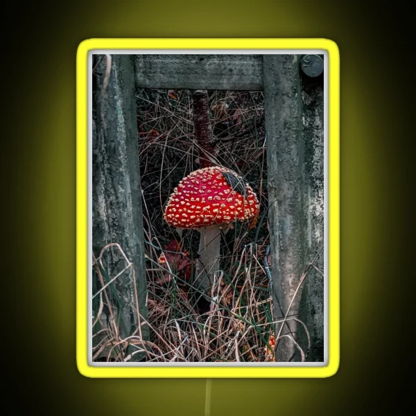 Fly Agaric Framed RGB Neon Sign