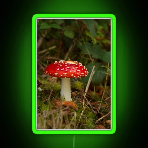 Fly Agaric Fungi RGB Neon Sign