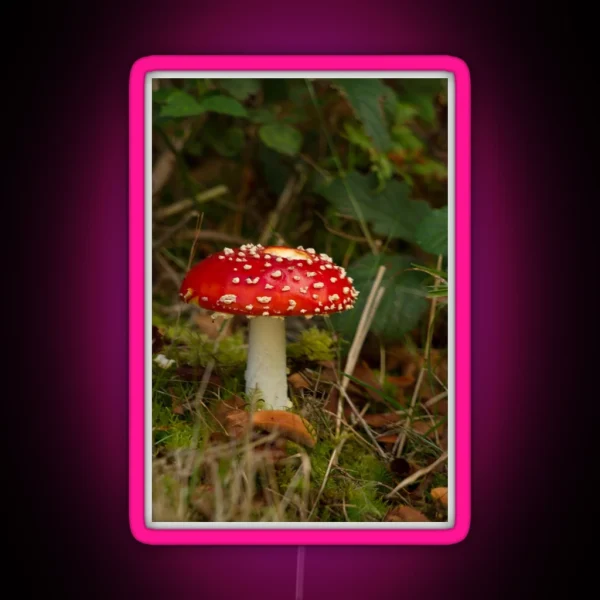Fly Agaric Fungi RGB Neon Sign