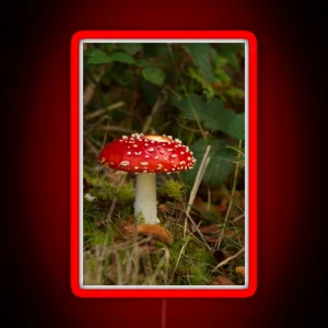 Fly Agaric Fungi RGB Neon Sign