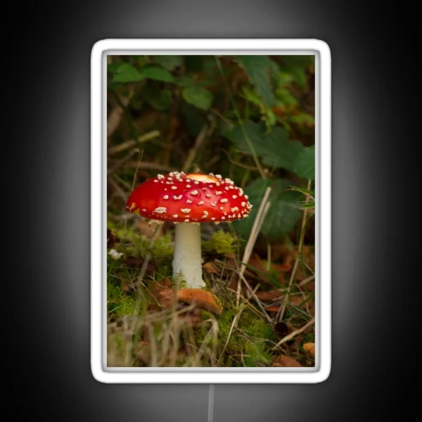 Fly Agaric Fungi RGB Neon Sign