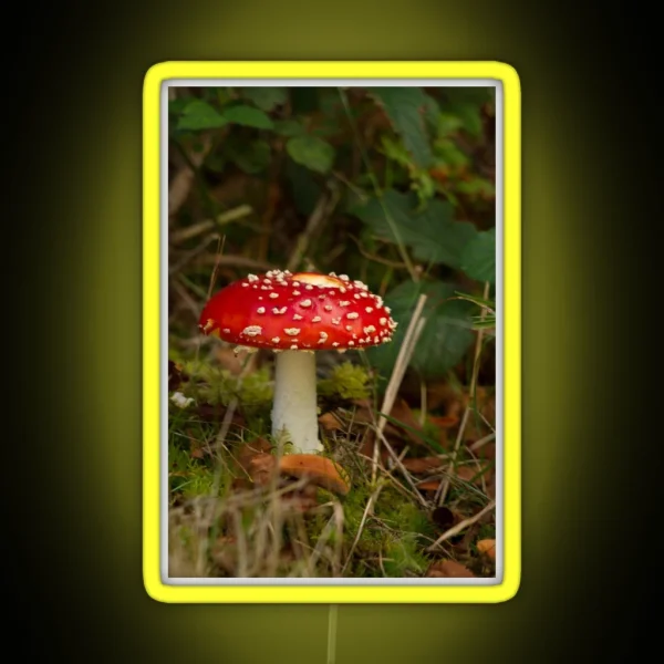 Fly Agaric Fungi RGB Neon Sign
