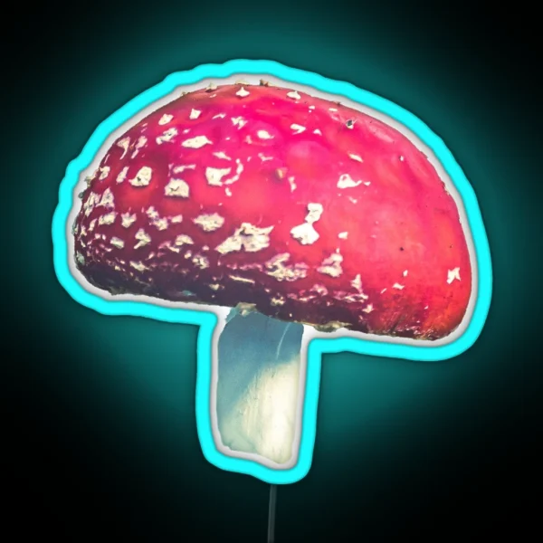 Fly Agaric I RGB Neon Sign