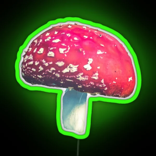 Fly Agaric I RGB Neon Sign