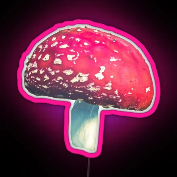 Fly Agaric I RGB Neon Sign