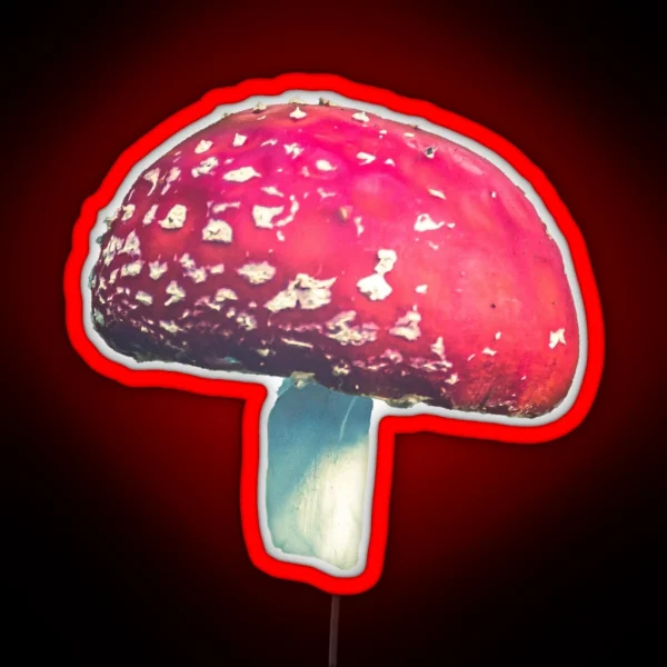 Fly Agaric I RGB Neon Sign