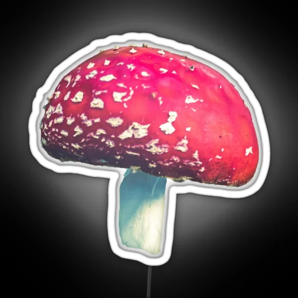 Fly Agaric I RGB Neon Sign