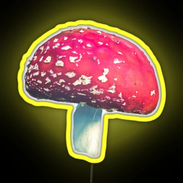 Fly Agaric I RGB Neon Sign
