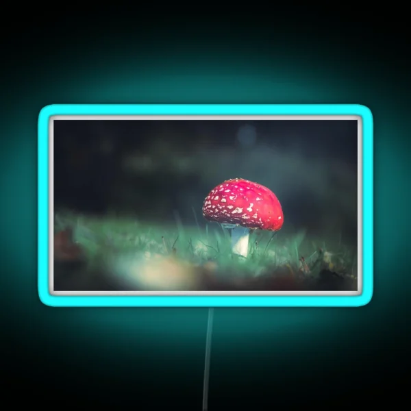 Fly Agaric II RGB Neon Sign