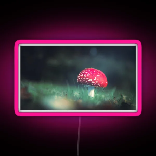 Fly Agaric II RGB Neon Sign
