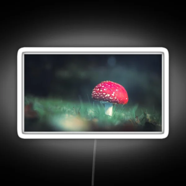 Fly Agaric II RGB Neon Sign