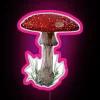 Fly Agaric Mushroom RGB Neon Sign - Image 6