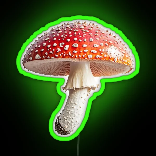 Fly Agaric MUSHROOM RGB Neon Sign