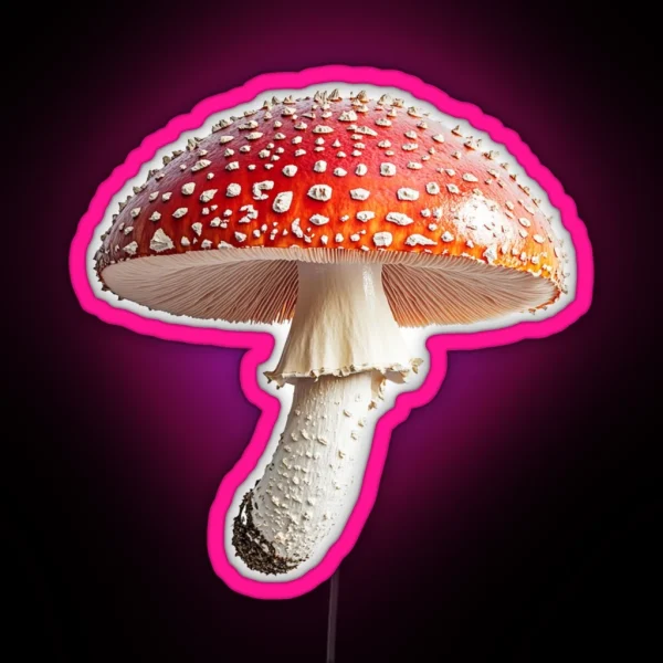 Fly Agaric MUSHROOM RGB Neon Sign