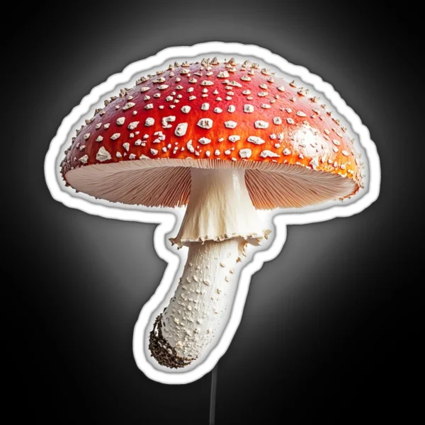 Fly Agaric MUSHROOM RGB Neon Sign