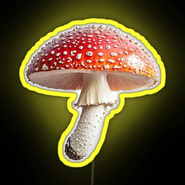 Fly Agaric MUSHROOM RGB Neon Sign